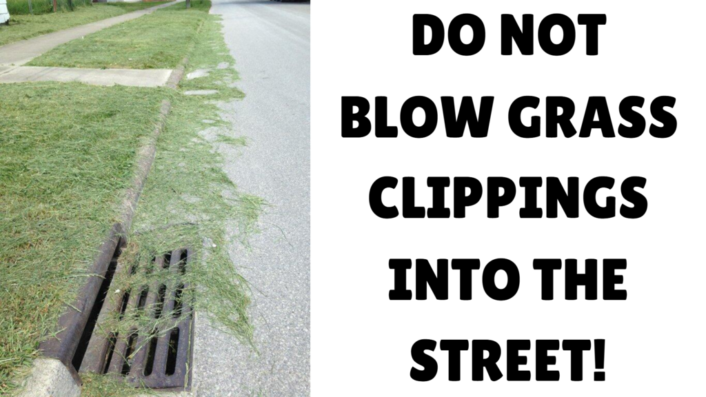 Grass Clippings