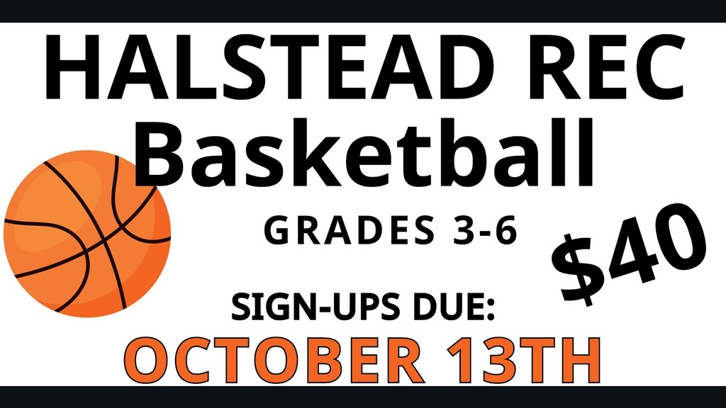 halstead basketball 2025