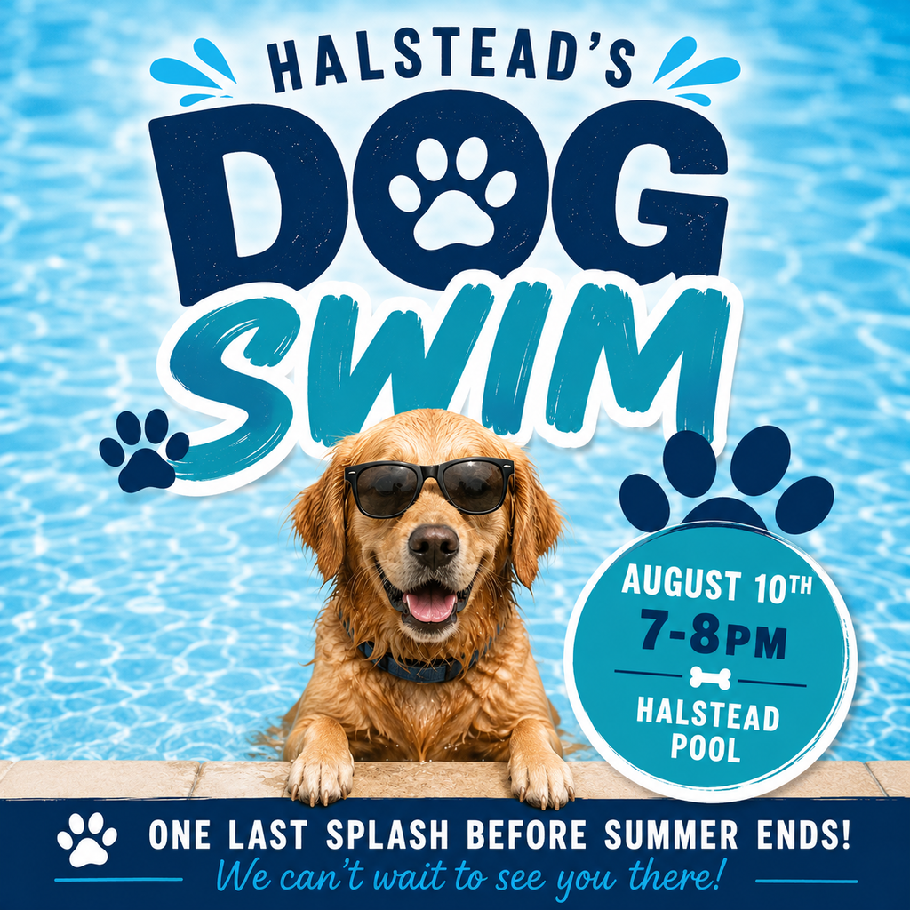 Halstead Dog Swim 2026