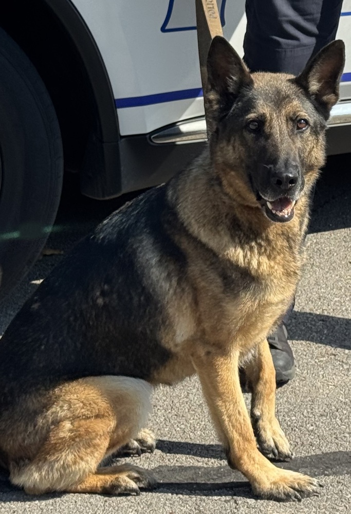 Officer K9 Jessie