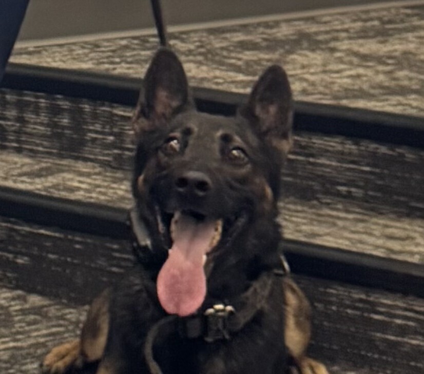 Officer Zolin