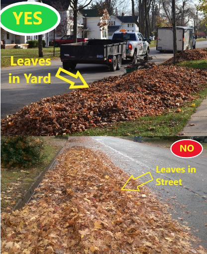 leaves; yes/no