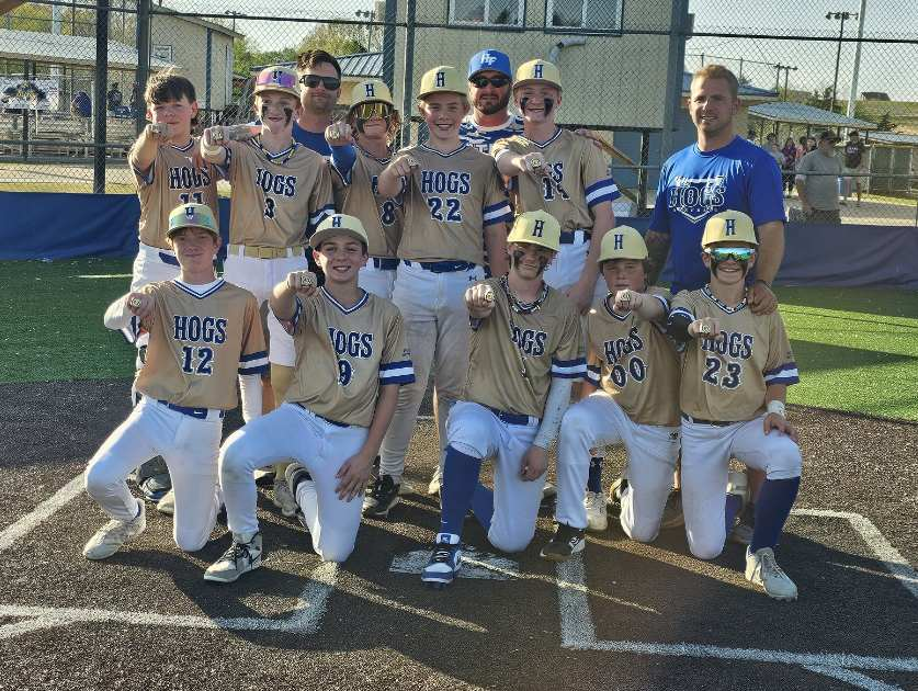 Harrison Hogs Baseball