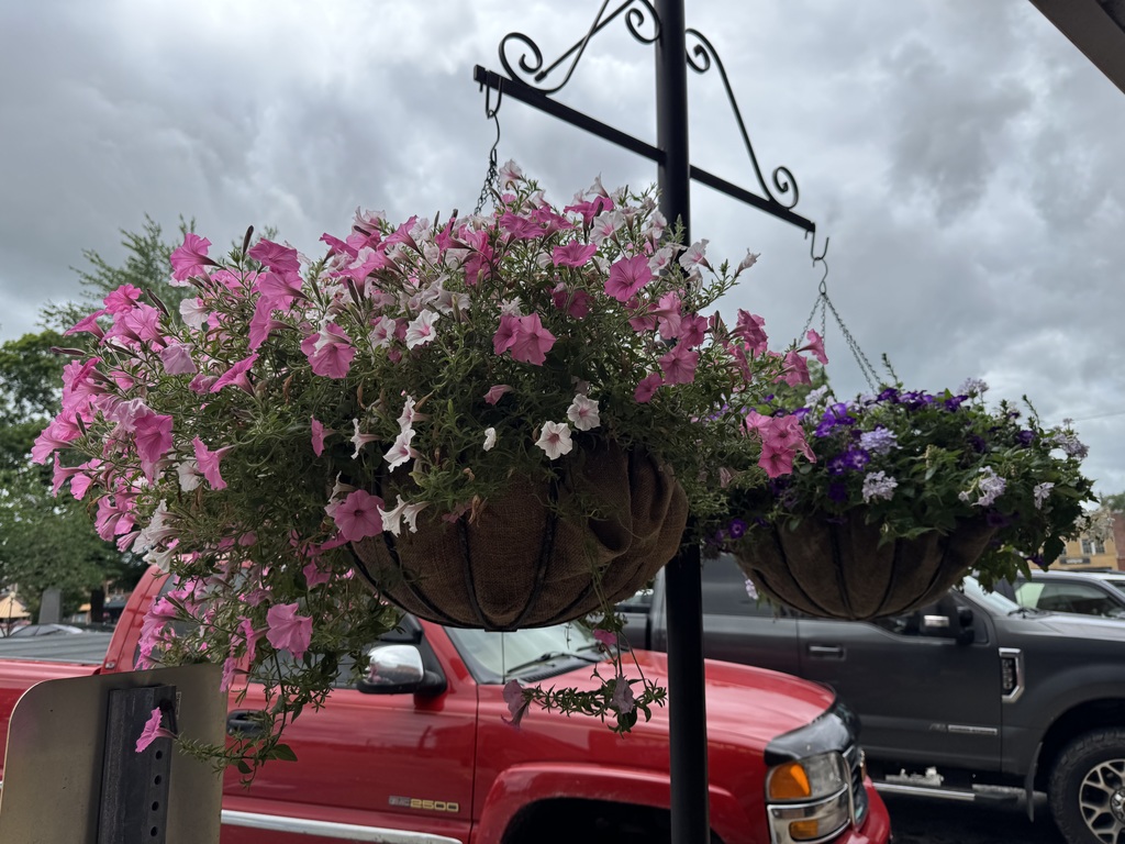 Flowers