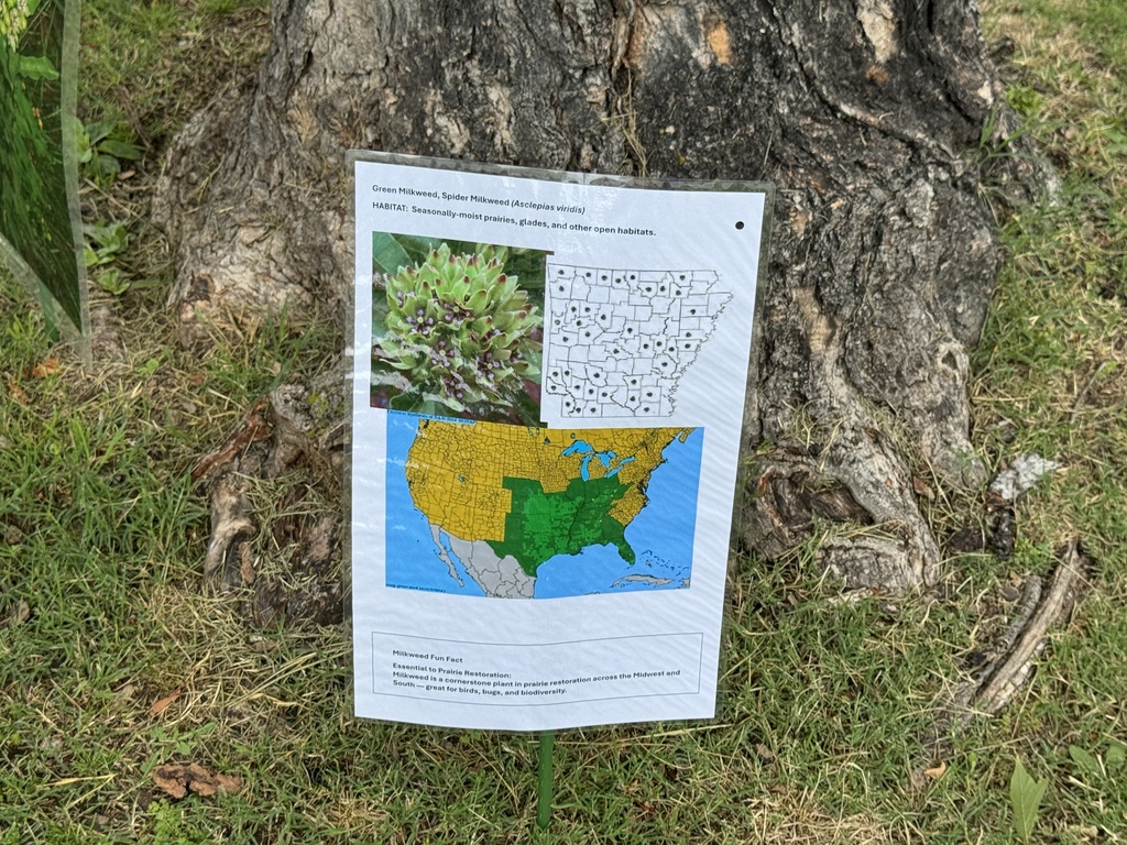 Learning more about nature