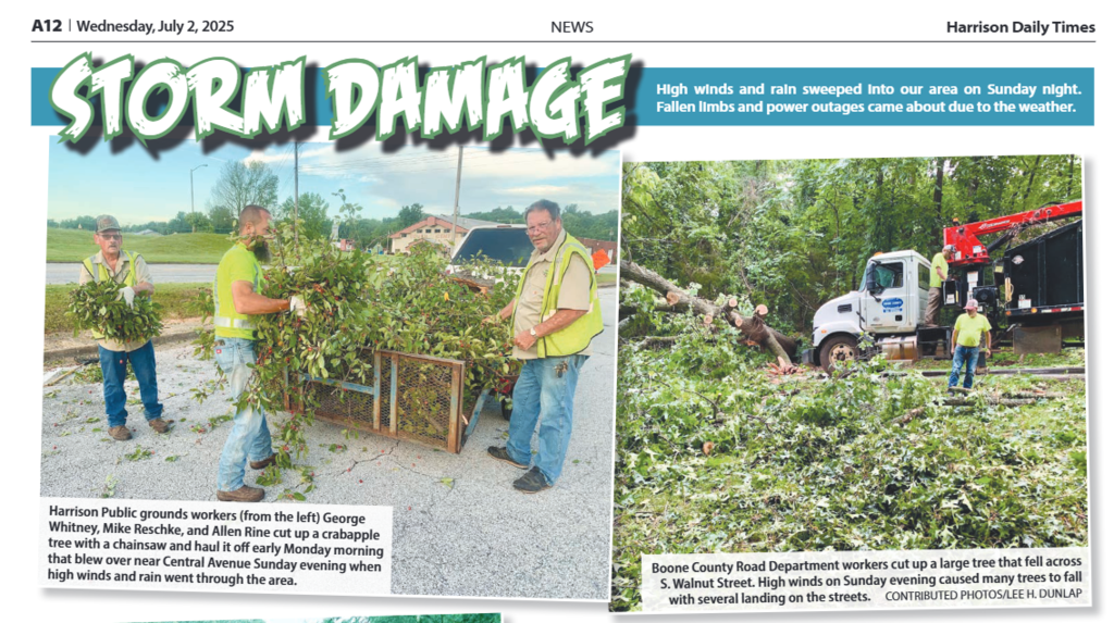 wind damage