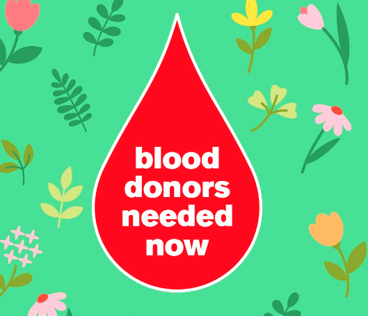 Blood Drive