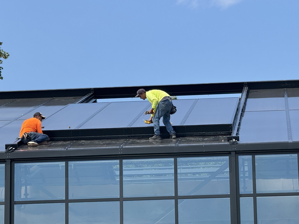 Checking the ceiling parts of Creekside Aquatics