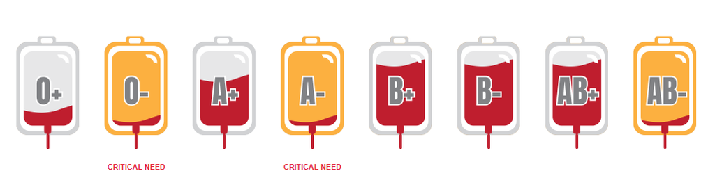 Blood Supply Graphic