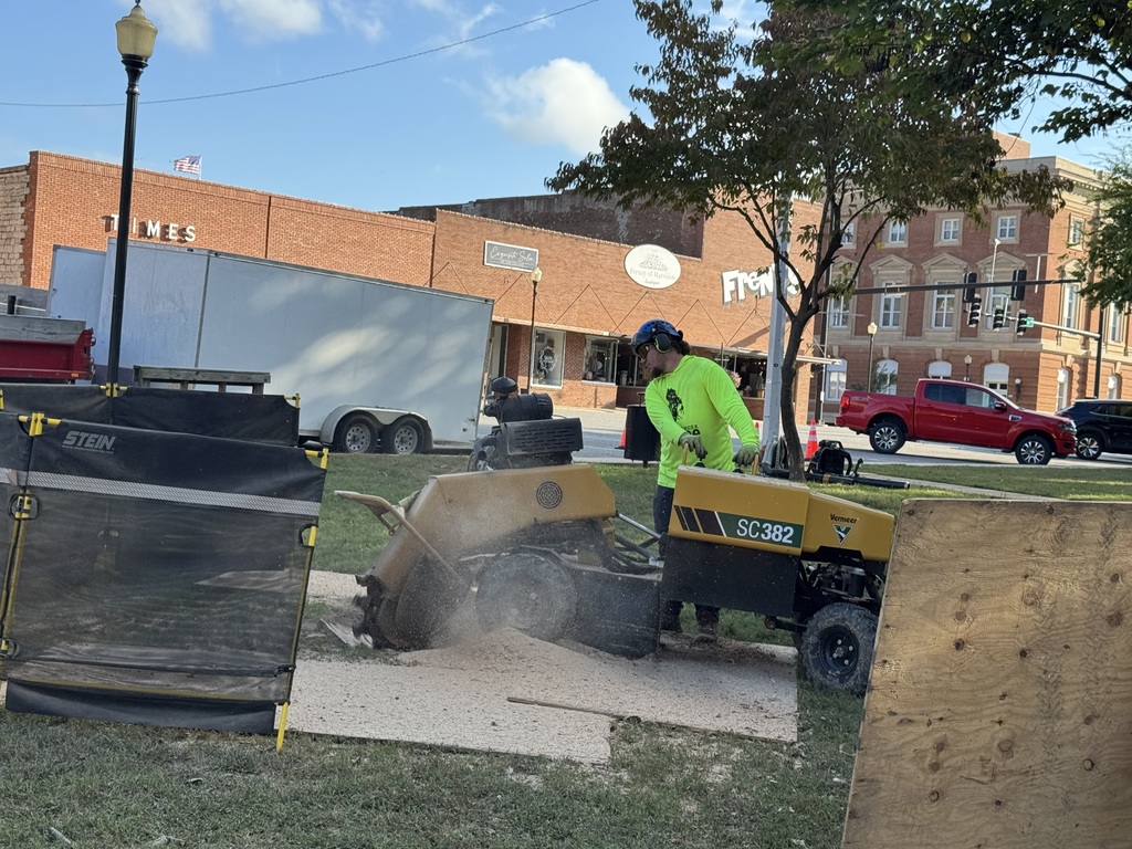 Chewing up a tree stump