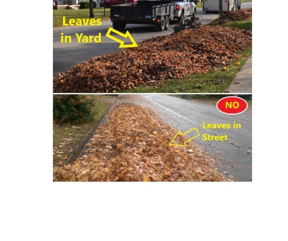 Right and wrong way for leaves