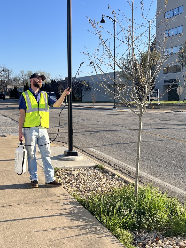 Dalton sprays for bagworms