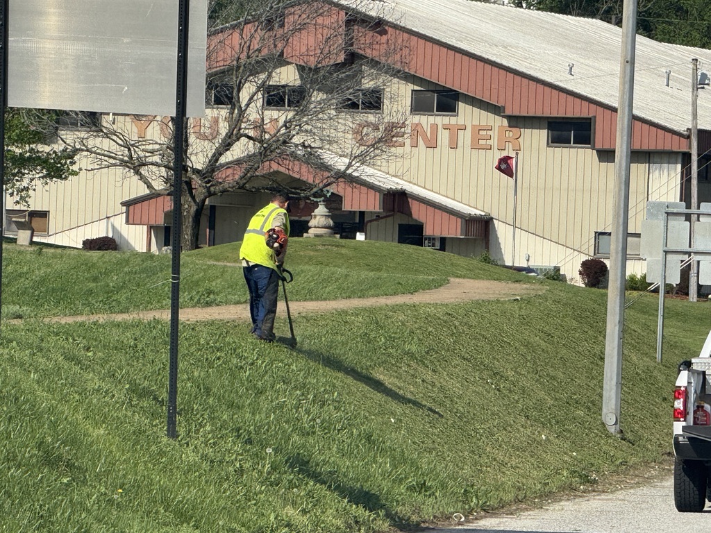 Grass trimming