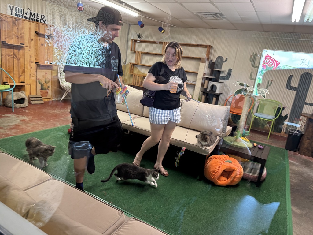 Visiting with Cats