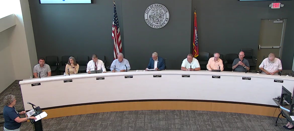 Liz speaking to Council