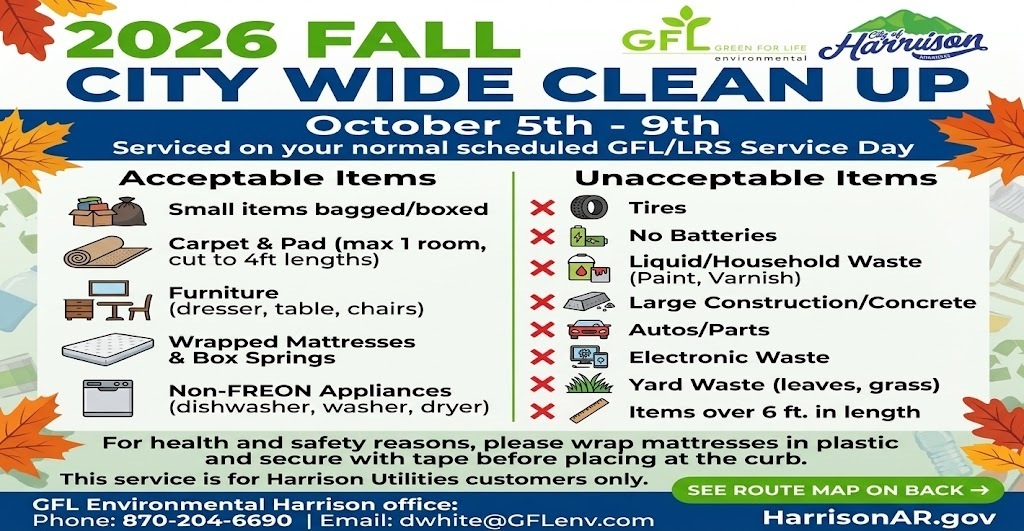 Fall Clean up
