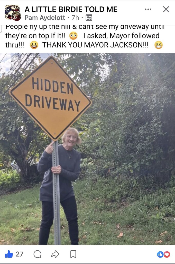 Hidden Driveway sign