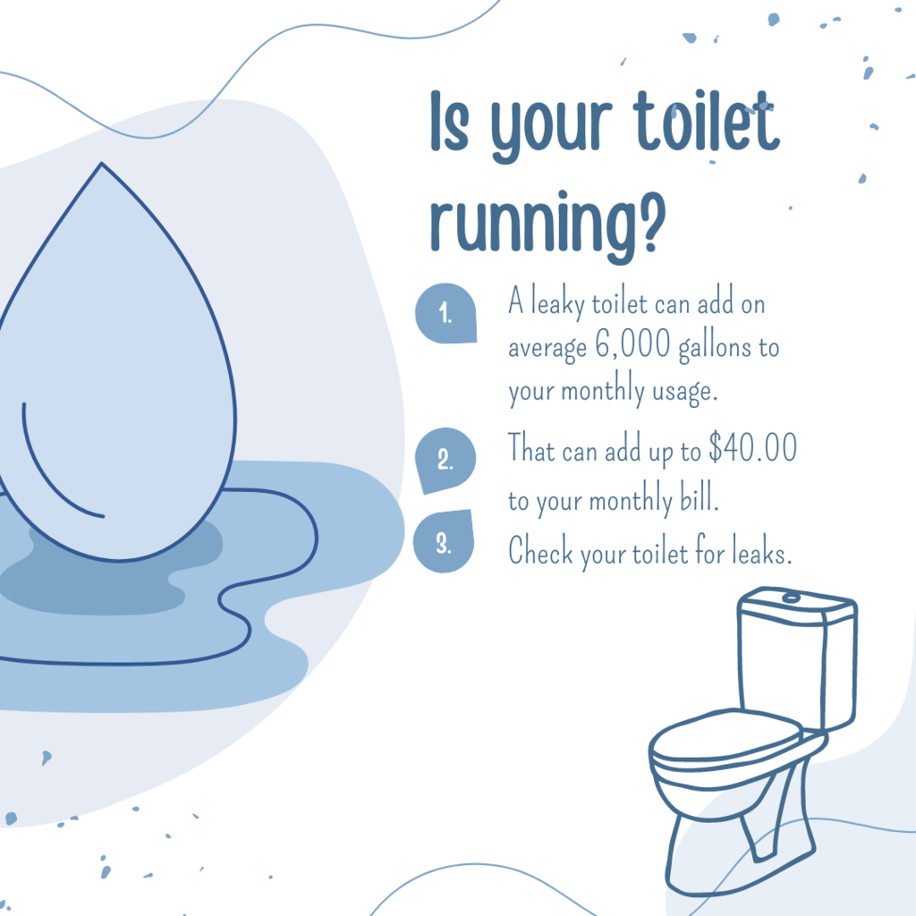 Is your toilet running
