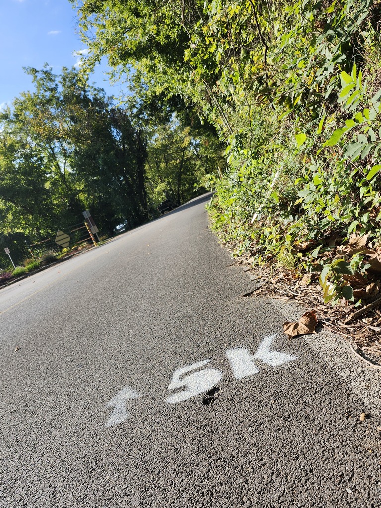 Color Me Grape 5K