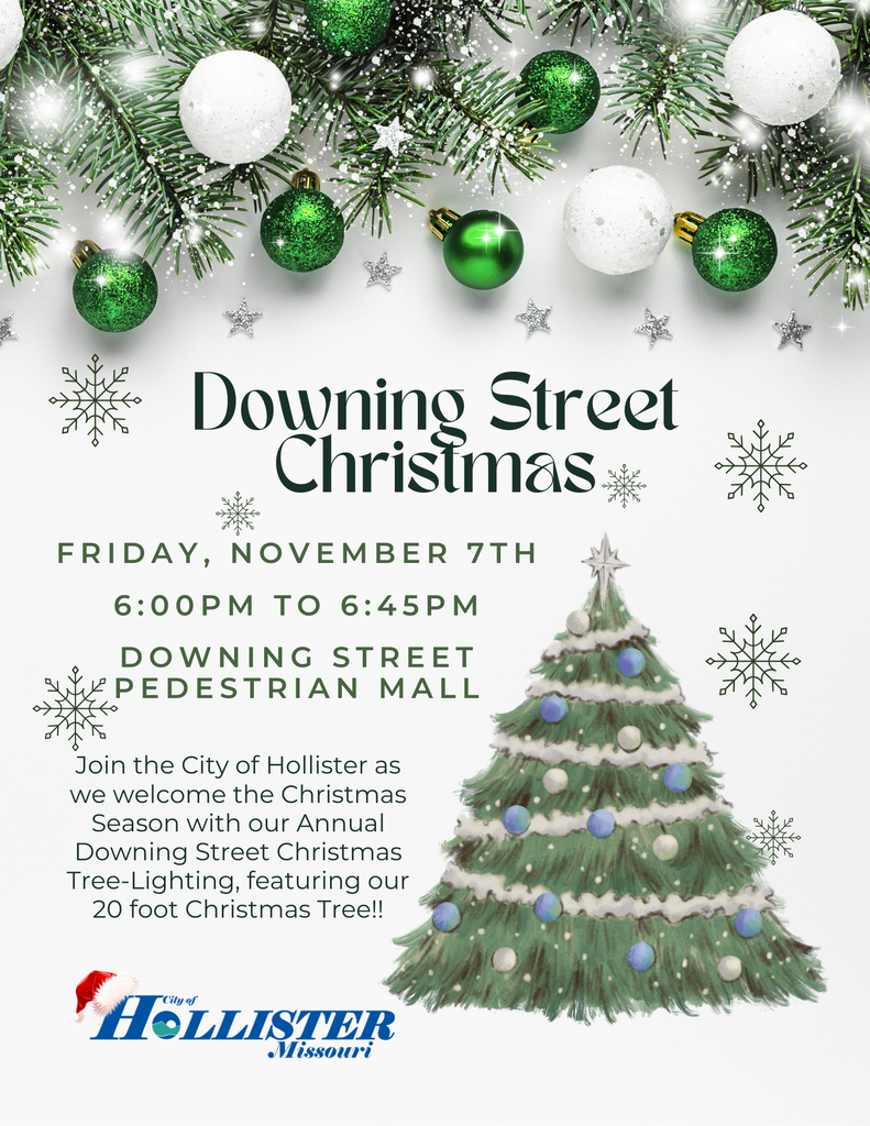 Downing Street Christmas Tree Lighting