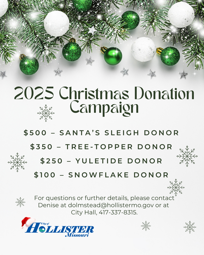 Christmas Decoration Donation Campaign