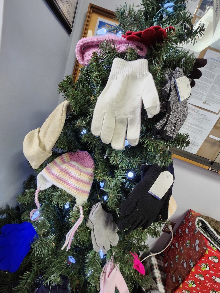 City of Hollister Mitten Tree