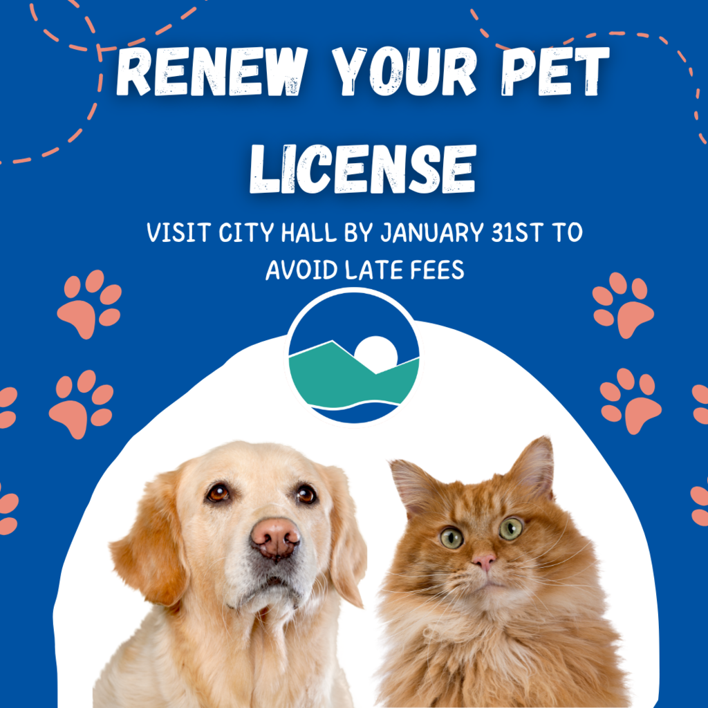 Pet License Renewal