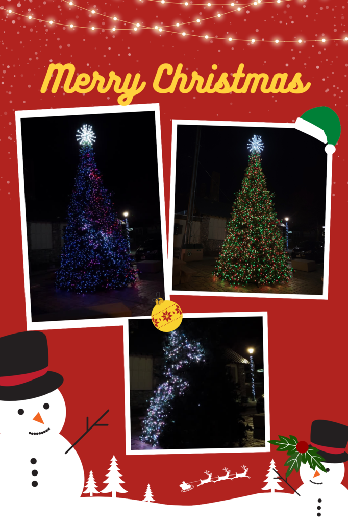 Downing Street Tree