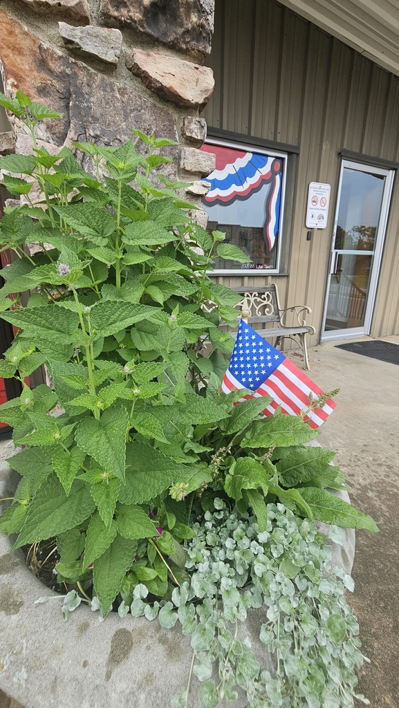 Flag at City Hall 