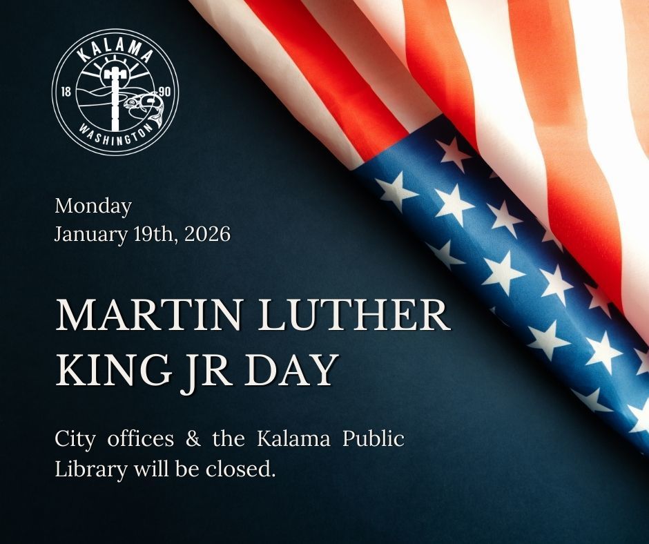 Blue and Red Simple Minimalist Martin Luther King JR Day With Flag Flyer (3)