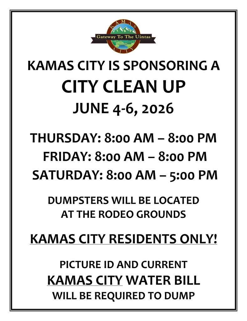 CITY CLEAN UP