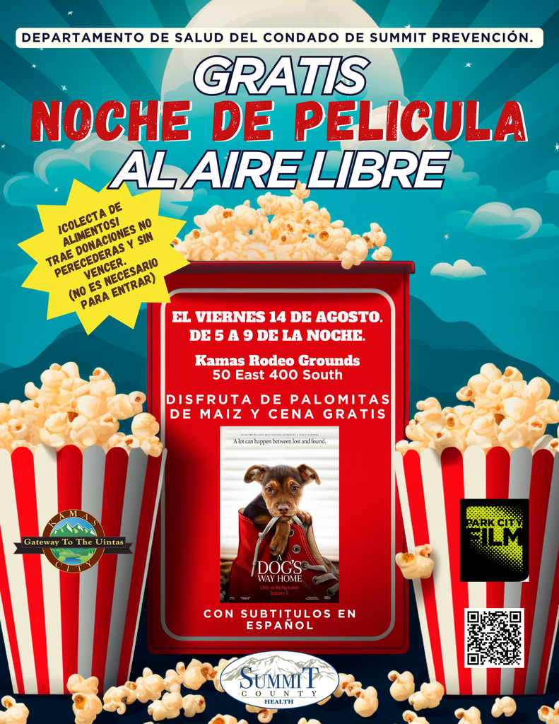 flyer