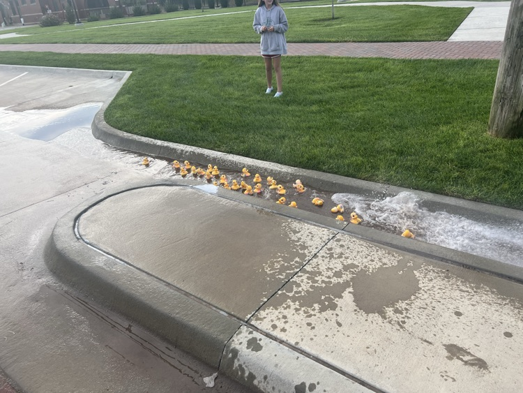 duck race