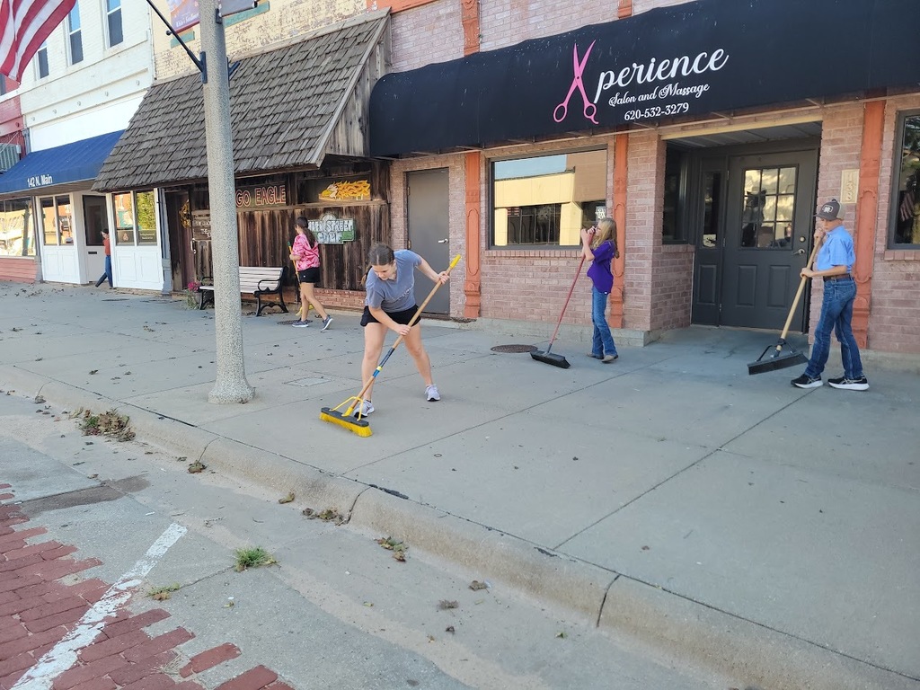 whispering willows clean up