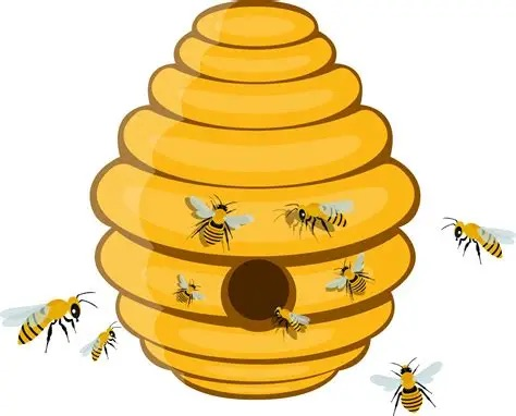 bee hive