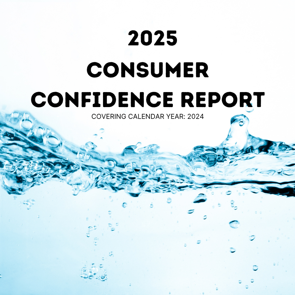 Consumer Confidence Report 2025