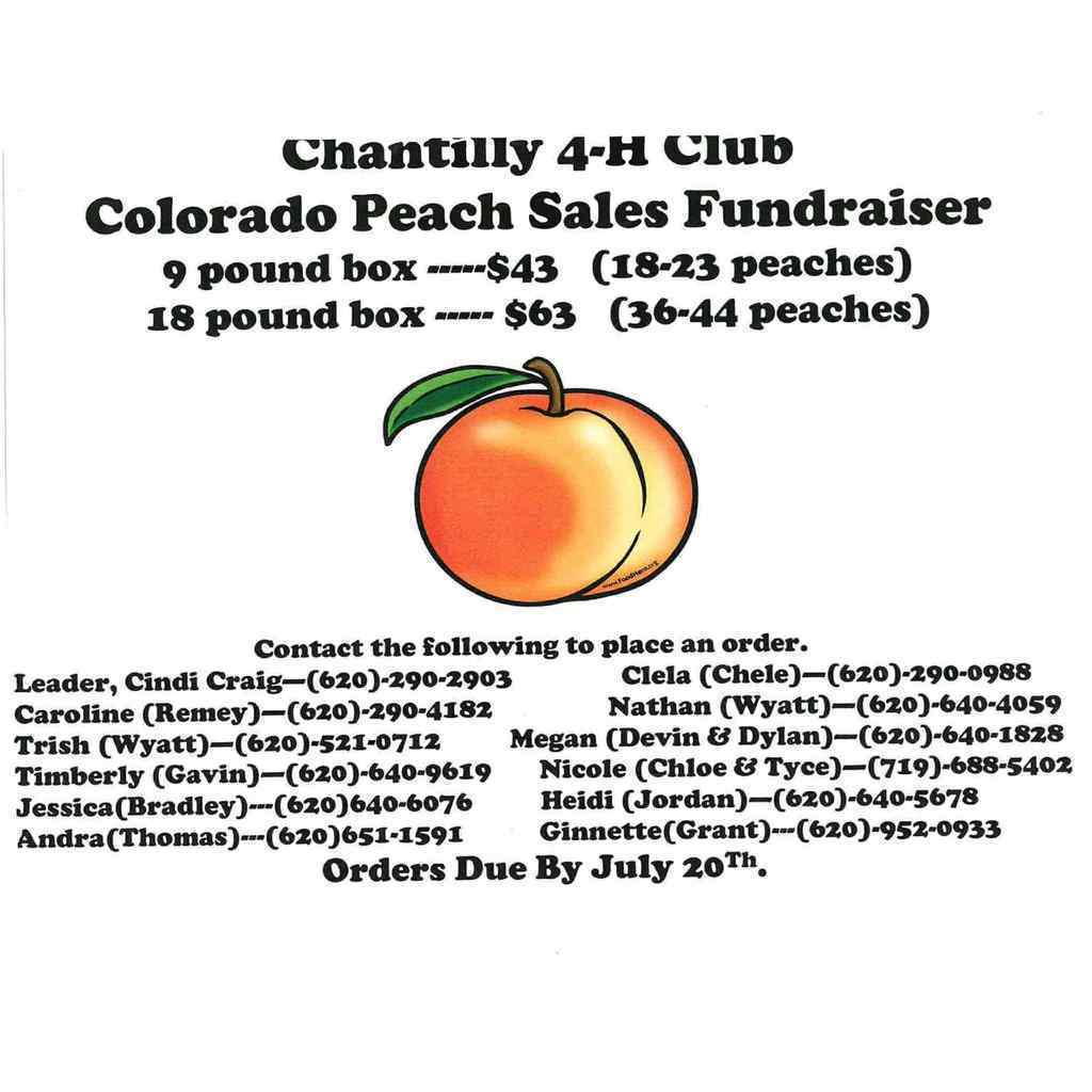 Flyer for the Chantilly 4-H Club Colorado Peach Sales Fundraiser. Features a drawing of a peach and lists prices: 9-pound box for $43 (18–23 peaches) and 18-pound box for $63 (36–44 peaches). Orders due by July 20th. Contact information for multiple individuals is provided to place an order.