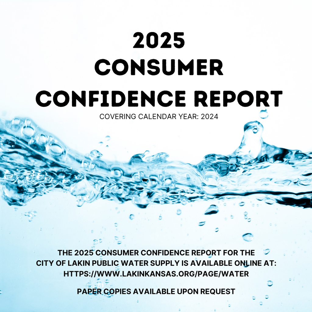 Consumer Confidence Report 2025 is available!