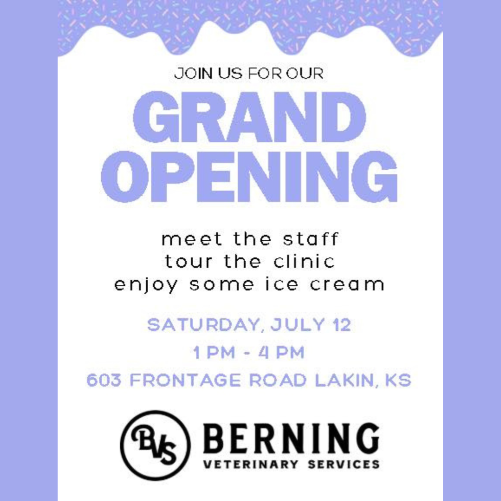 Berning Veterinary Services is officially opening their doors in Lakin! Stop by Saturday, July 12 from 1–4 PM at 603 Frontage Road to: ✨ Meet the team 🏥 Tour the new clinic 🍦 Enjoy some ice cream Come celebrate and help welcome BVS to the community!