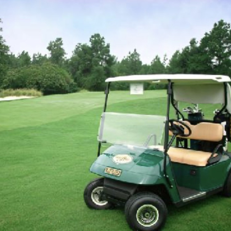 no carts