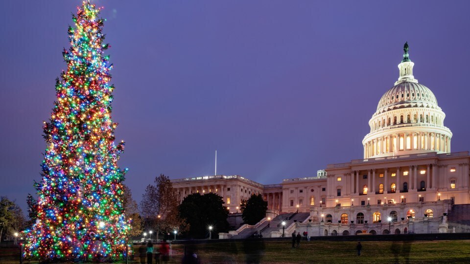 Capital xmas tree picture
