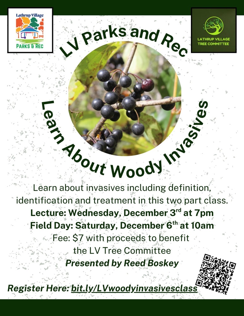P&R - Wood Invasives