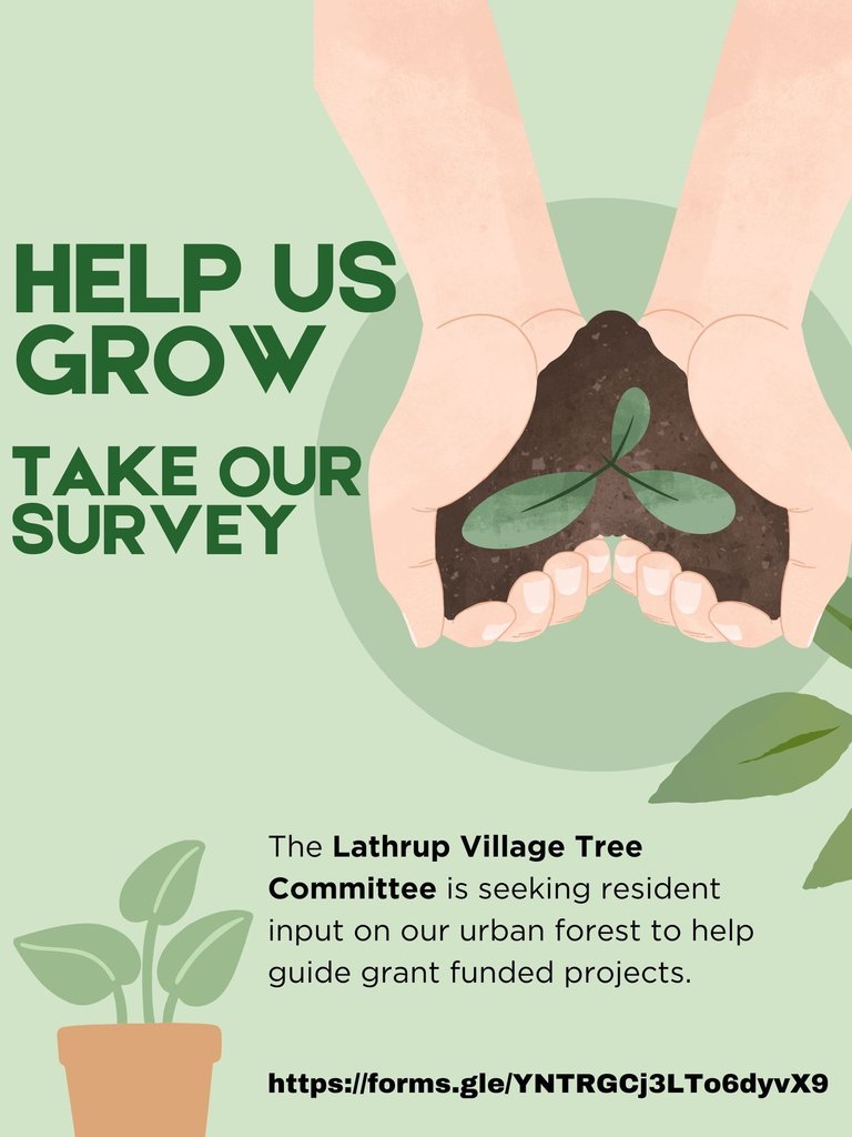 Tree Committee Urban Forest Survey Flyer