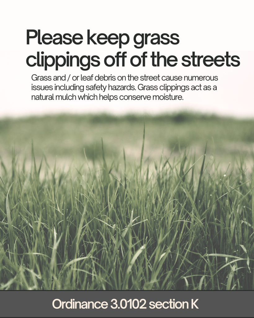 Grass Clippings