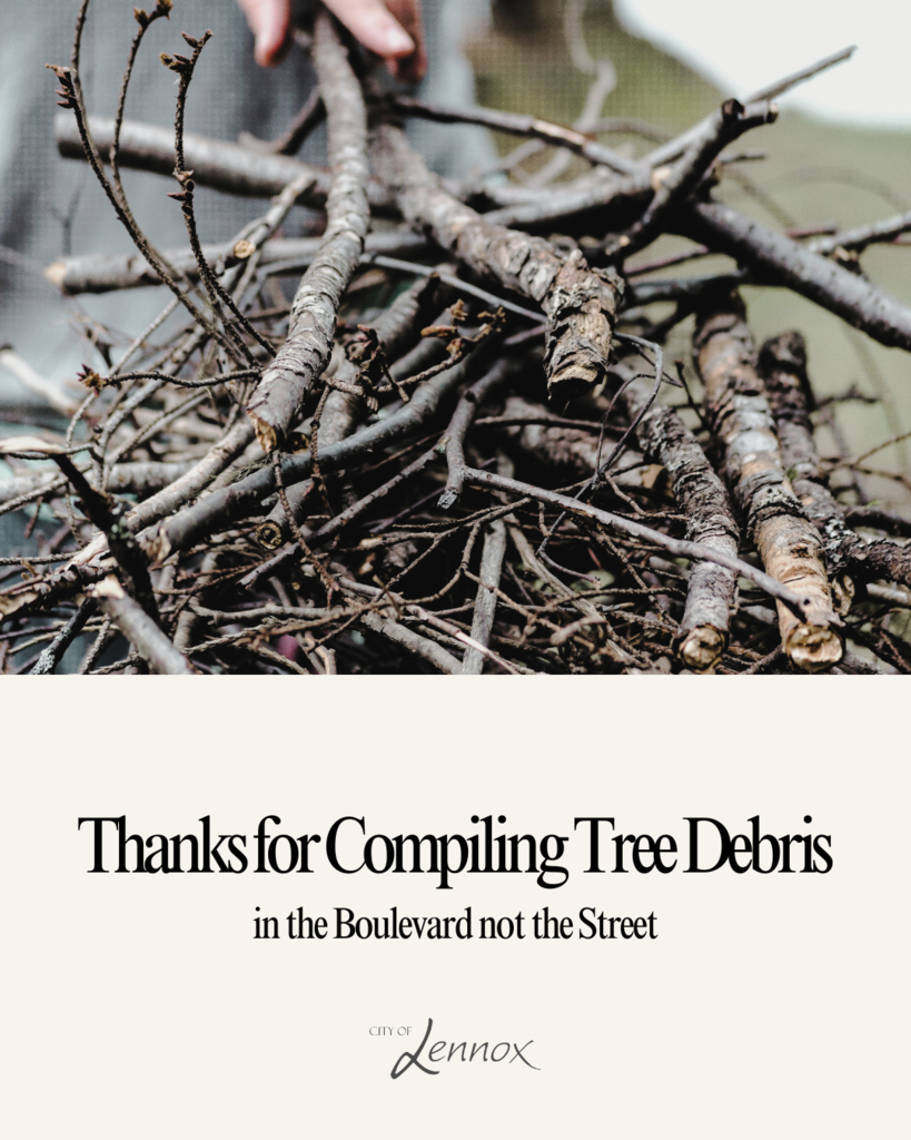 Tree Debris