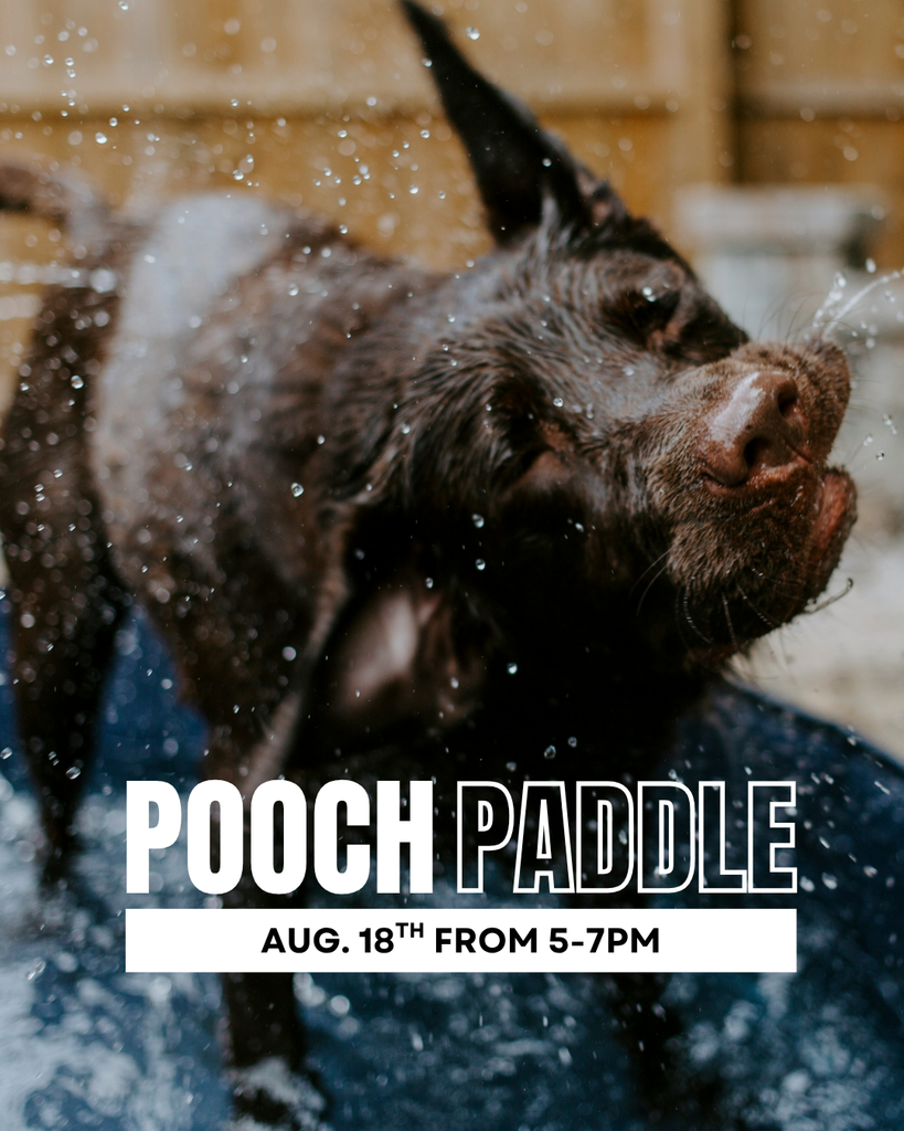 pooch paddle