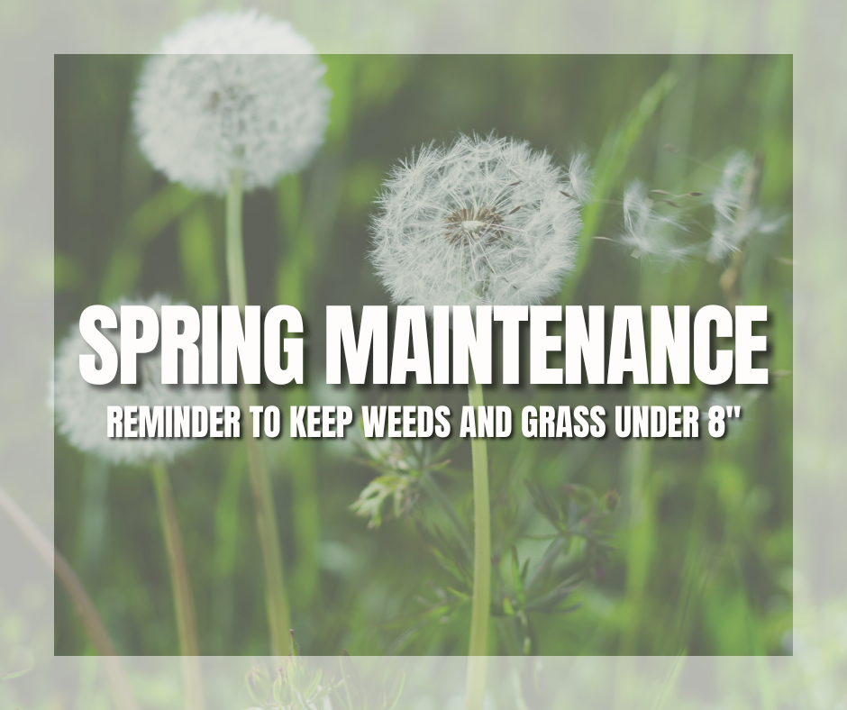 Spring Maintenance reminder to keep weeds and grass under 8"