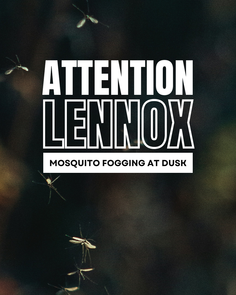 Mosquito Fogging