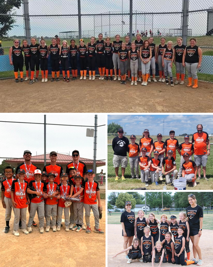 Softball / Baseball