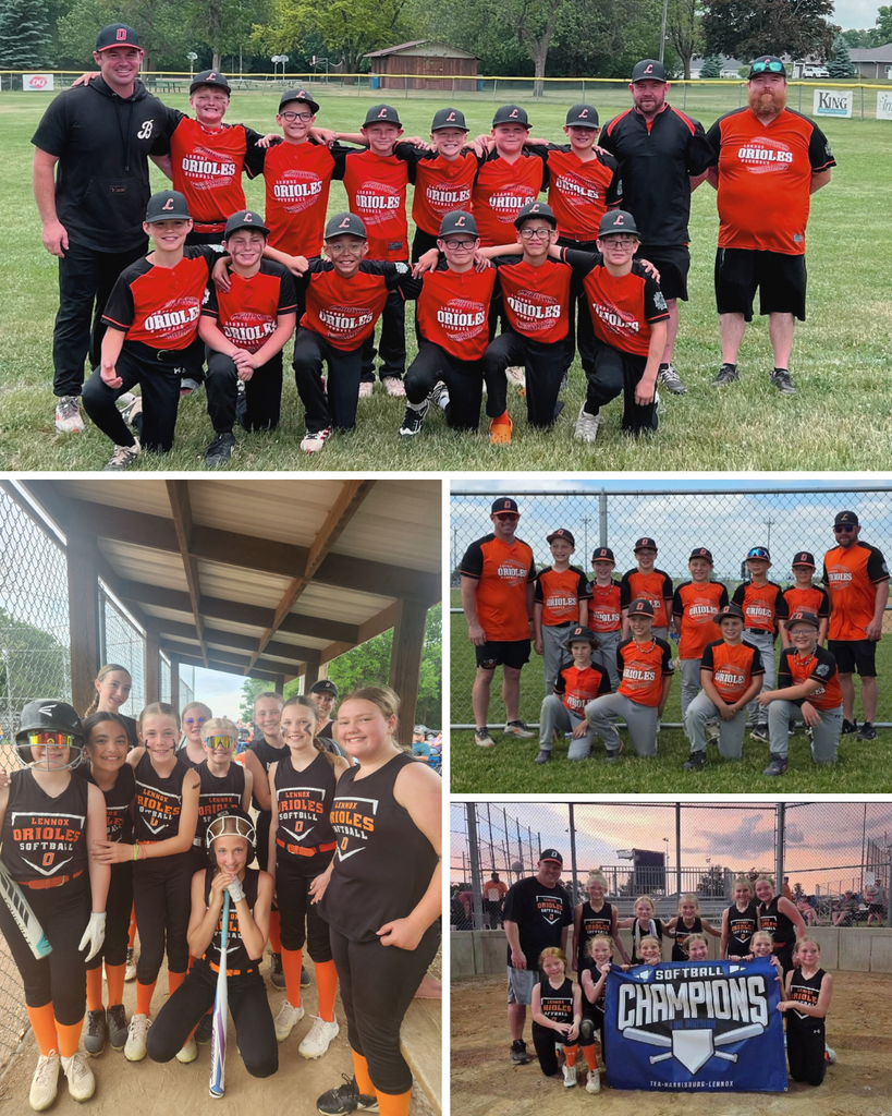 Softball/baseball 2026
